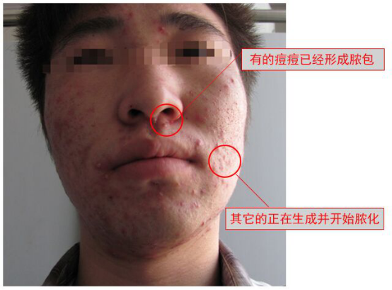 沁陽市玫瑰城陳艷麗化妝品經(jīng)營部1072